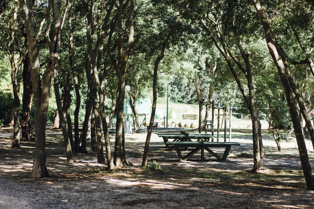 Camping Le Bois Fleuri Argelès-sur-Mer Exteriör bild